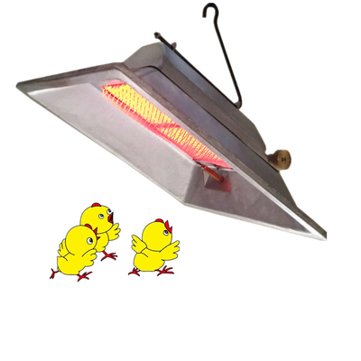 Handmatig temperatuurspeelbare gasverwarming voor vee