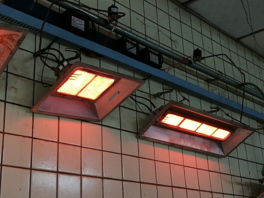 Aardgas LPG Pluimvee Kip Broedmachine Kachels Aluminium Pluimveestal Broedmachines