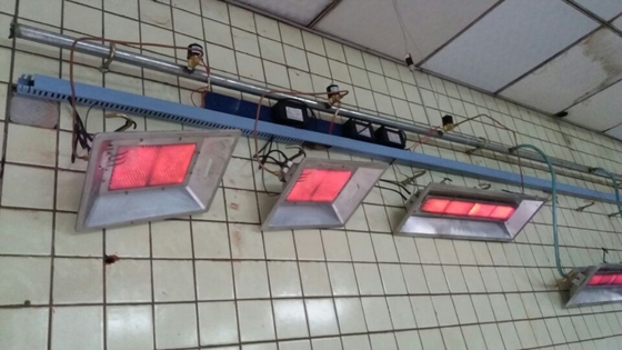 Van de de Piekeraarhitte van het kippengas de Lamp Infrarode Heater For Chicks THD2606