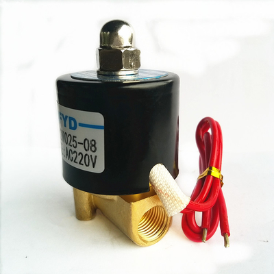 2W Ontsteker Brander Magneetventiel Ontstekingselektrode Hydraulisch voor gasverwarmer