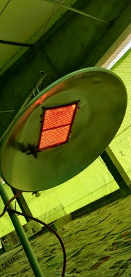 Energiebesparende Pluimvee Broedmachine Verwarming LPG NG Biogas Gas Pluimvee Broedmachine Apparatuur