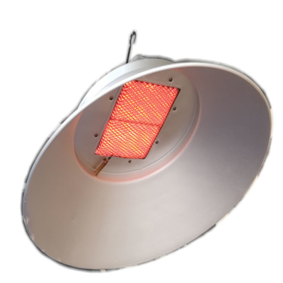 Zilveren Grijs van Heater Energy Saving 50hz van de Radaint het Infrarode Piekeraar