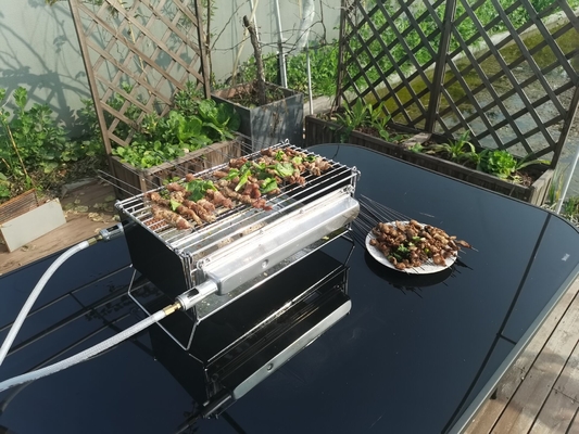 Energie - Grill van het besparings de Draagbare Gas met Infrarode Katalytische Brander voor BARBECUE