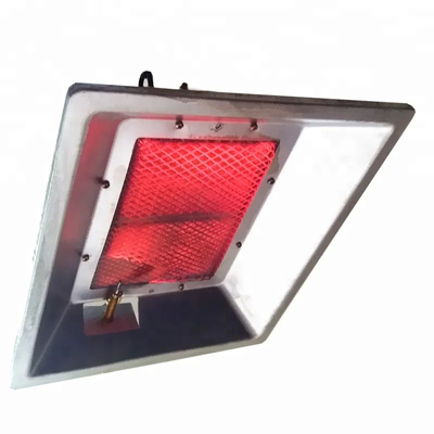 Krachtige pluimveeverwarmingslamp - betrouwbare verwarmingsoplossing met 1,7 kg