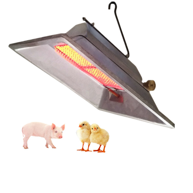 Energiebesparing Gas Broedmachine Heater Hoge Efficiëntie 2.46 KW/h Voor Kuikens Knorretje