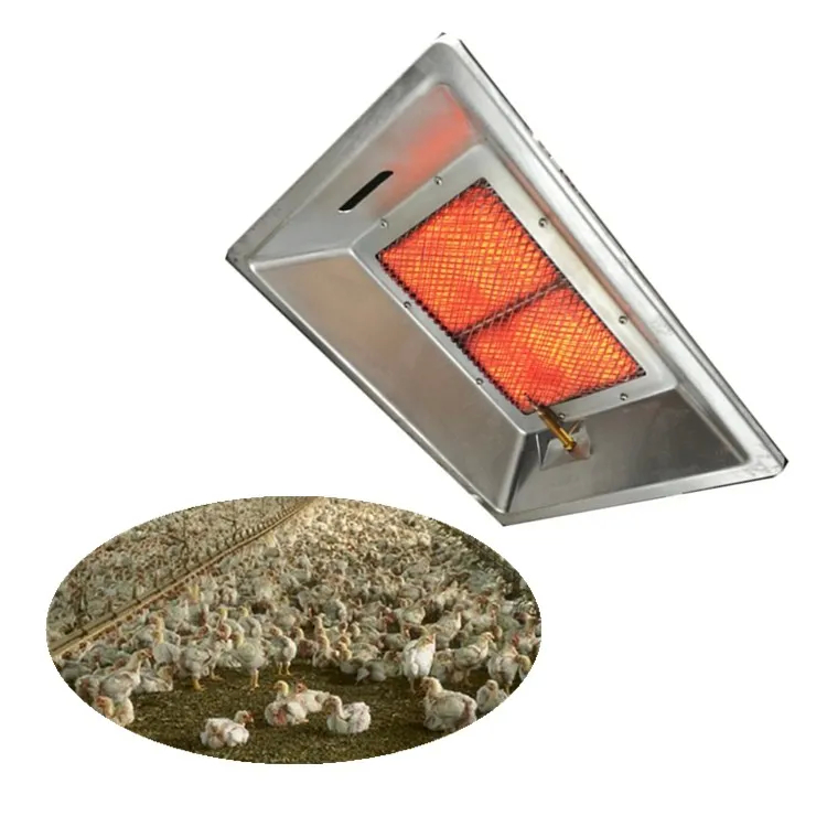 Handmatige ontsteking pluimvee broeding lamp voor 1 jaar zonder menselijke factor optimale resultaten